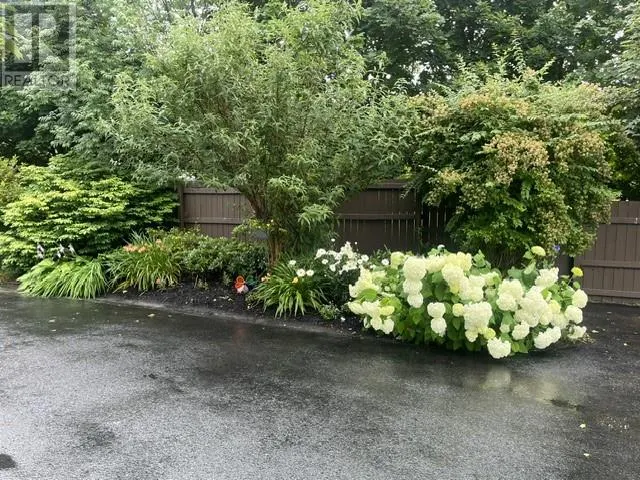 125 Cherry Lane