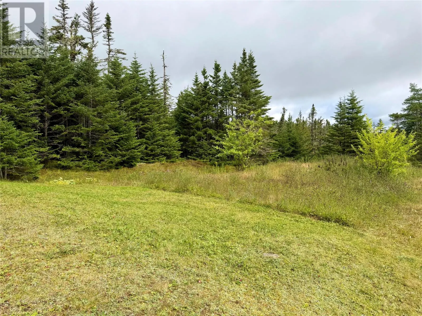 11A Deer Park Road