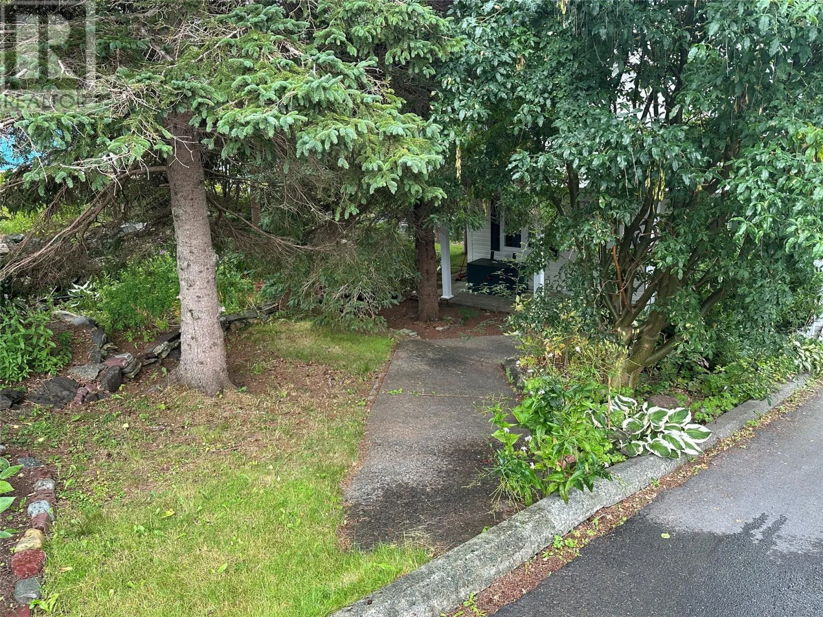40 Cove Road