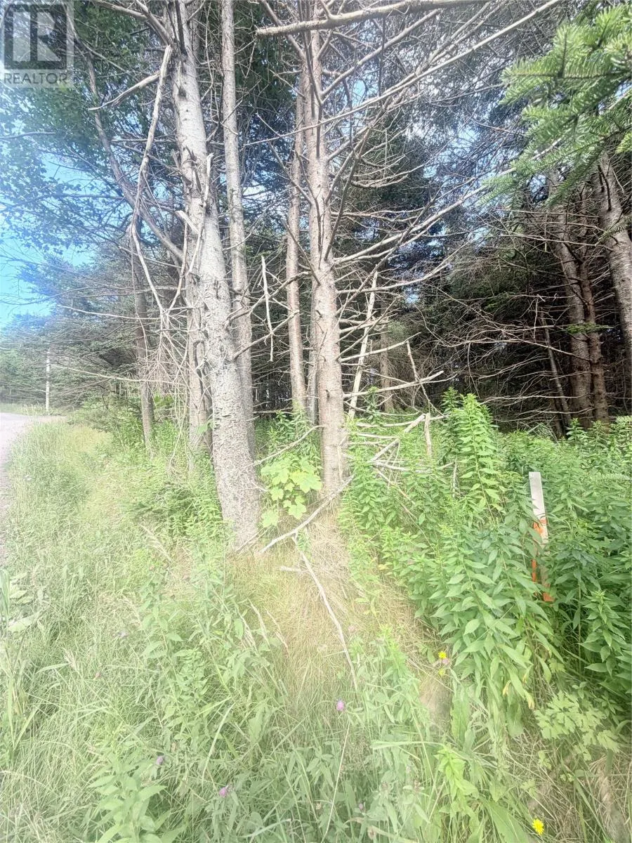 6A Big Pond Access Road
