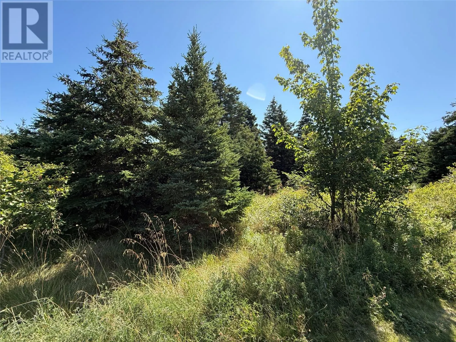 35-43 Ridge Road