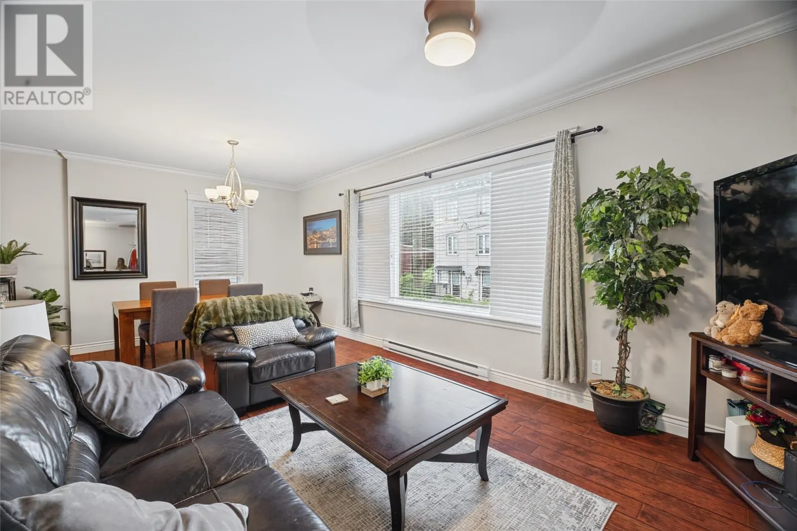 17 Livingstone Street