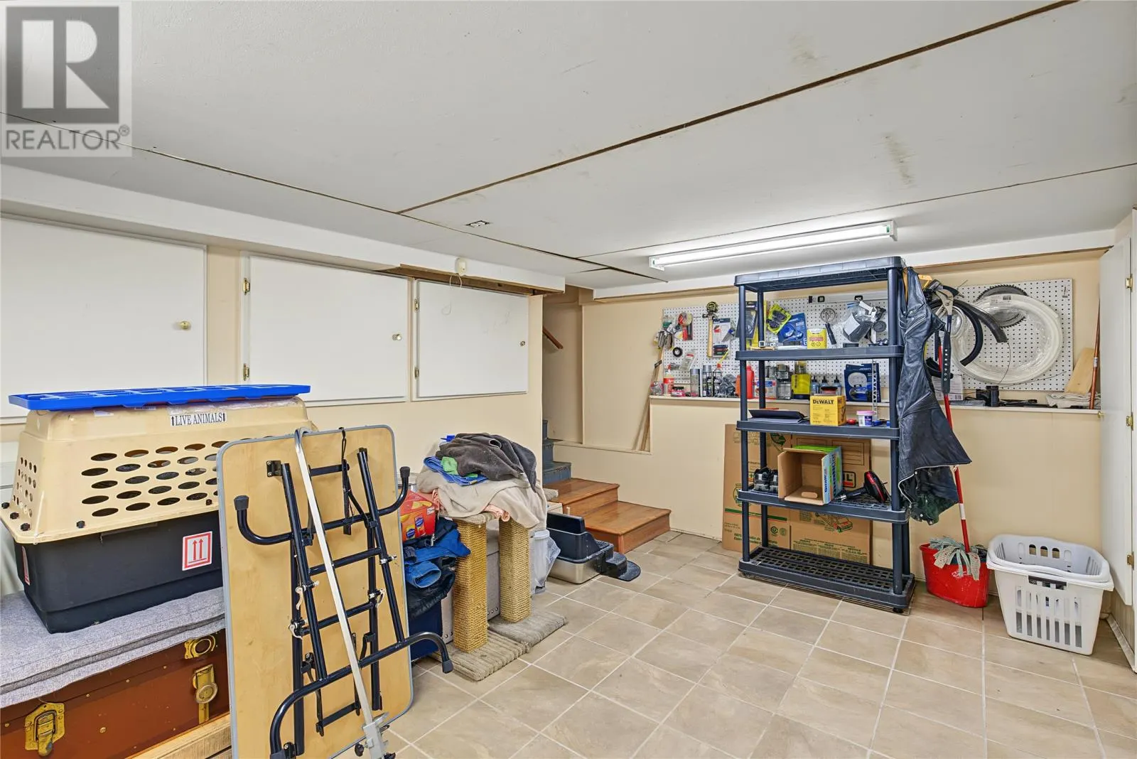 11 Blatch Avenue