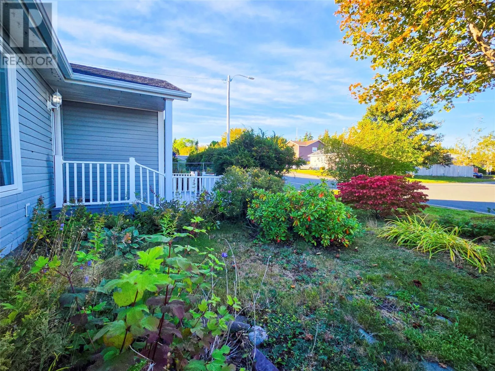 26 Forest Road