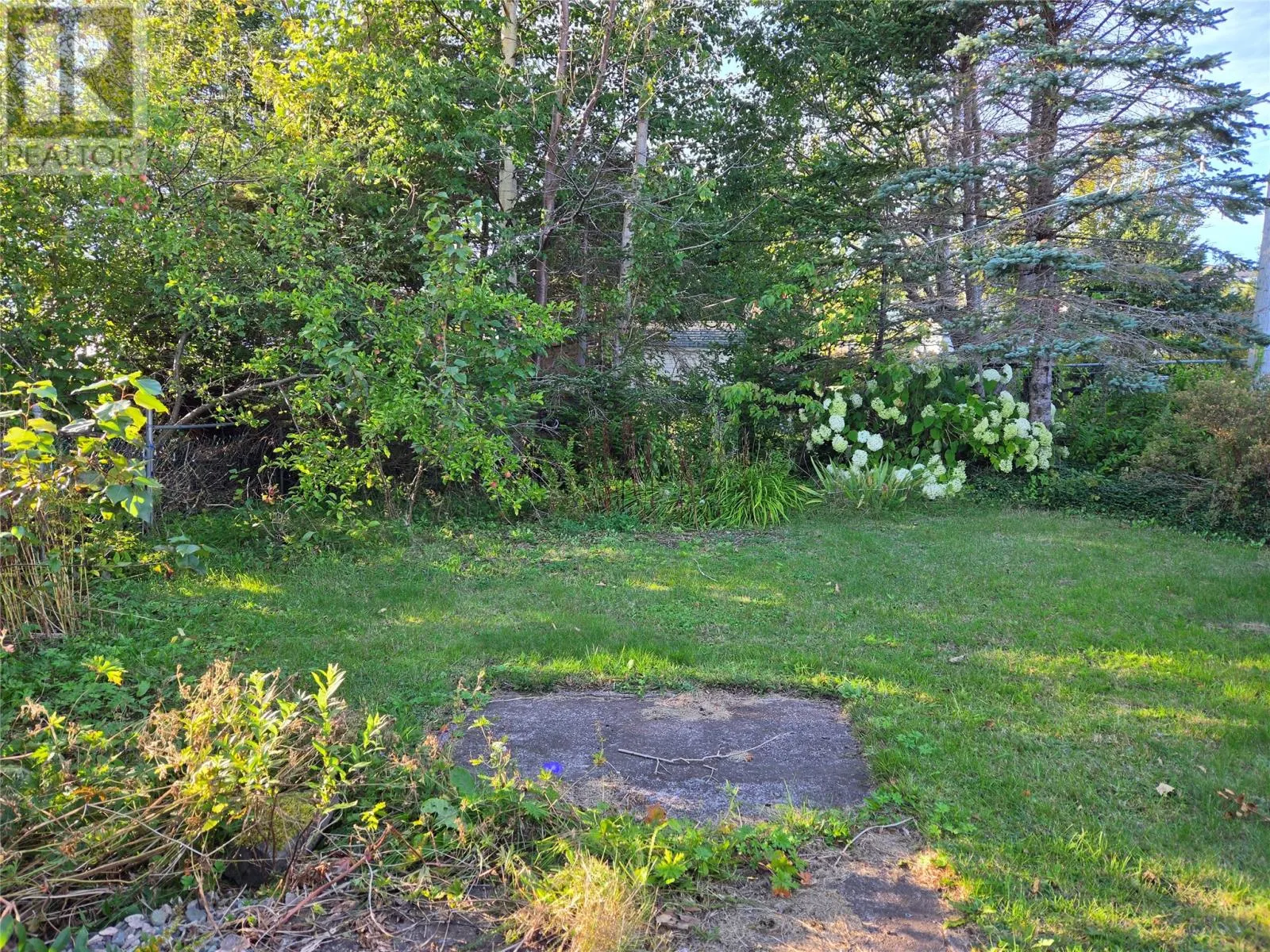 26 Forest Road