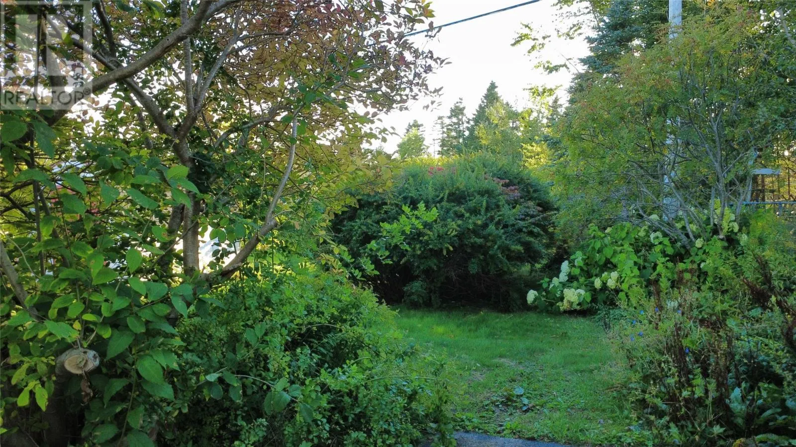 26 Forest Road