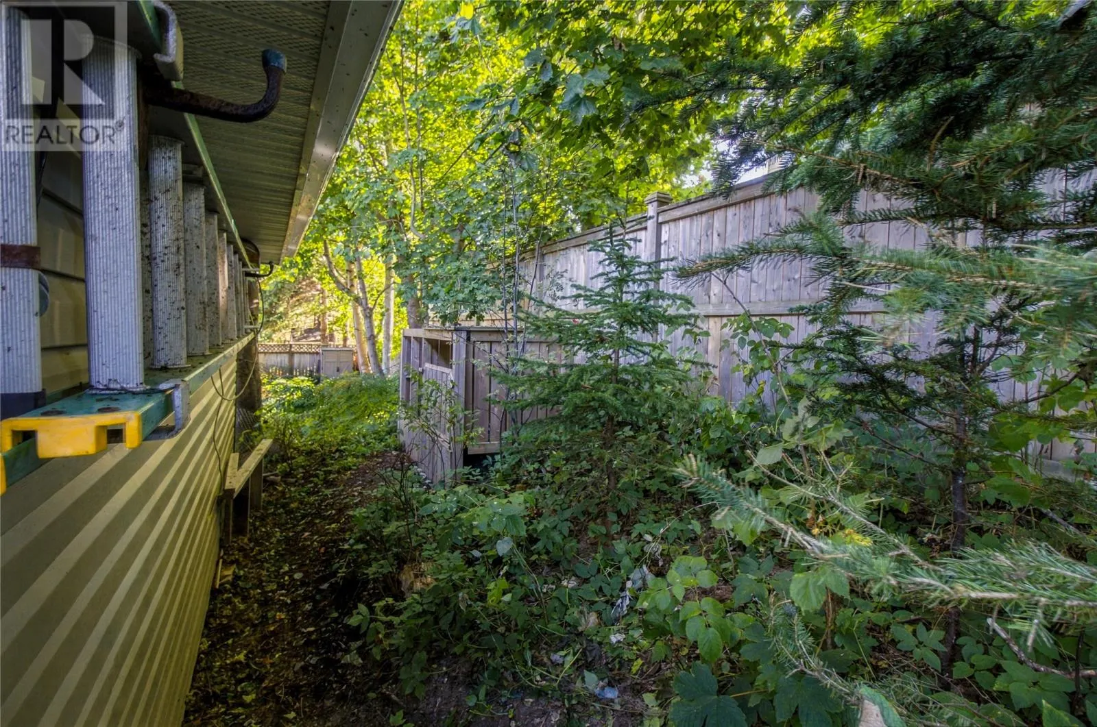 59 Carpasian Road