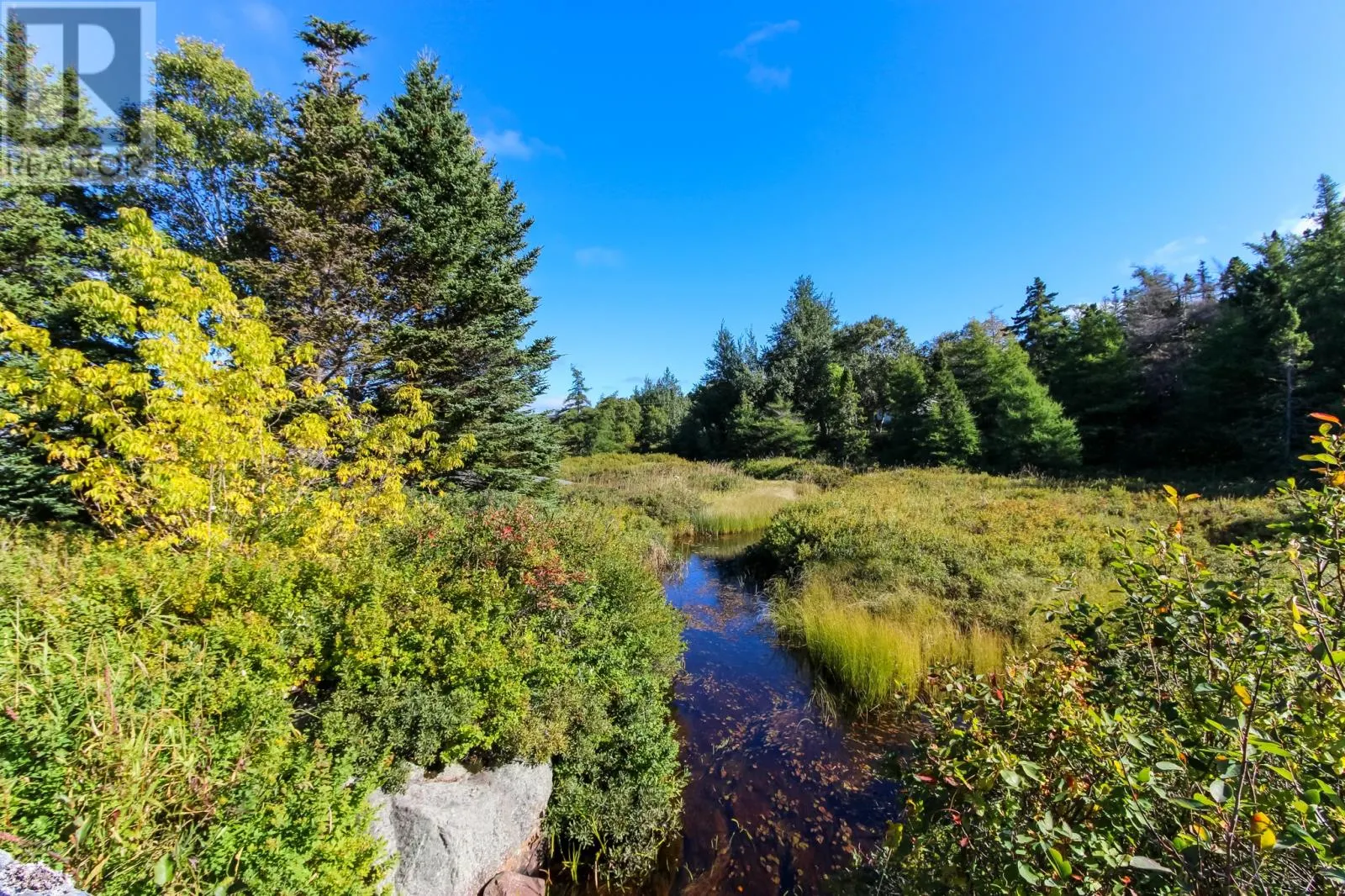 311 Conception Bay Highway