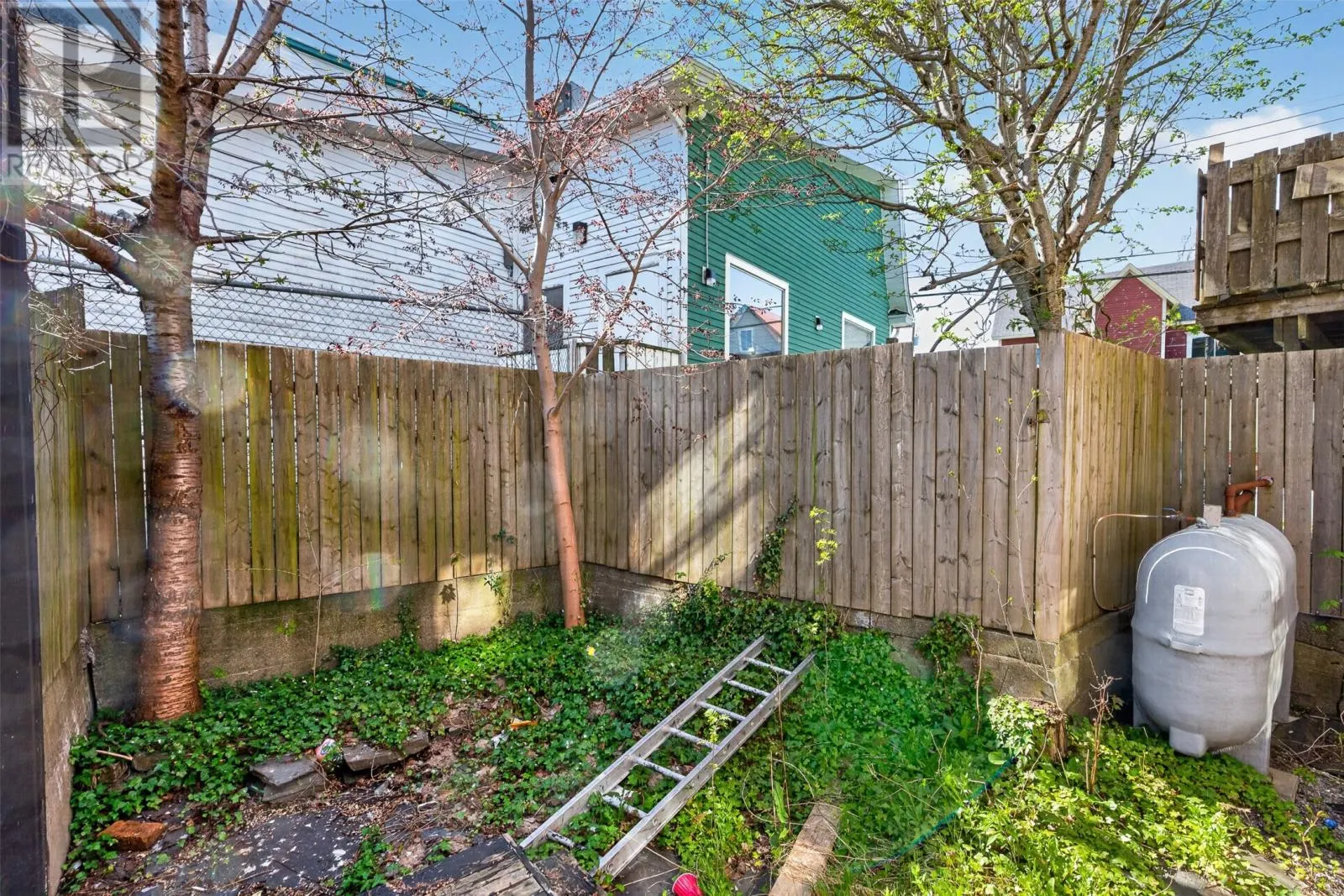 6 LeMarchant Road