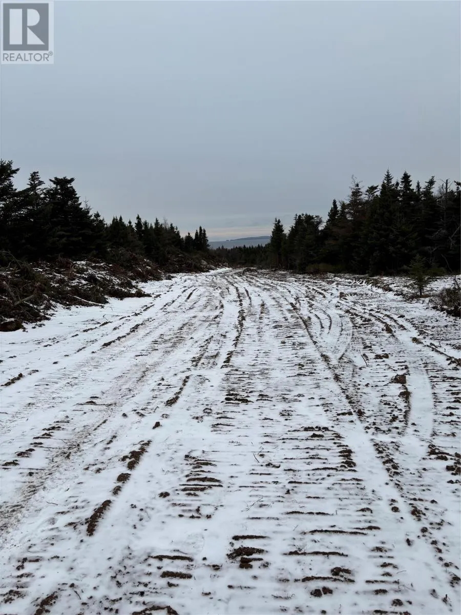 Lot 3 Silas Morgan Estates