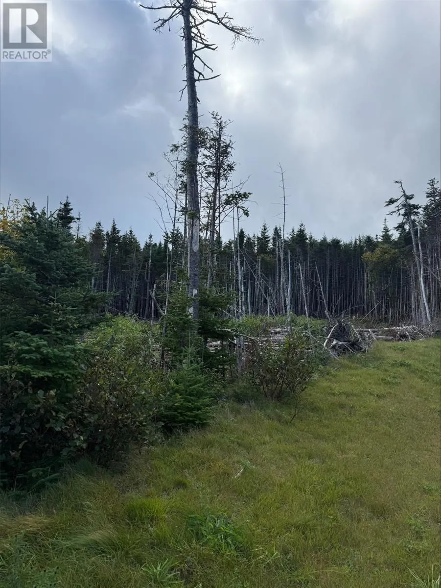 Lot 13 Southern Shore Highway