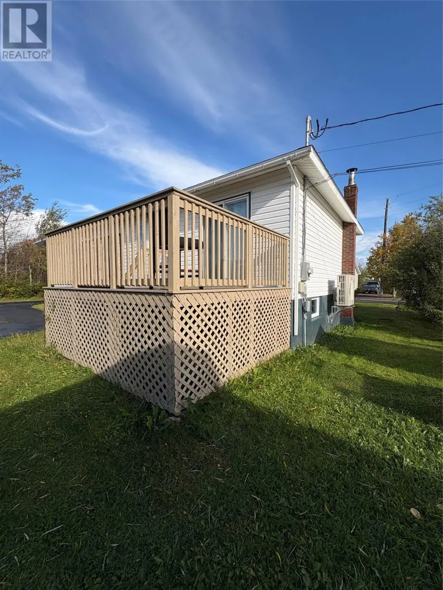 50 Caledonia Road