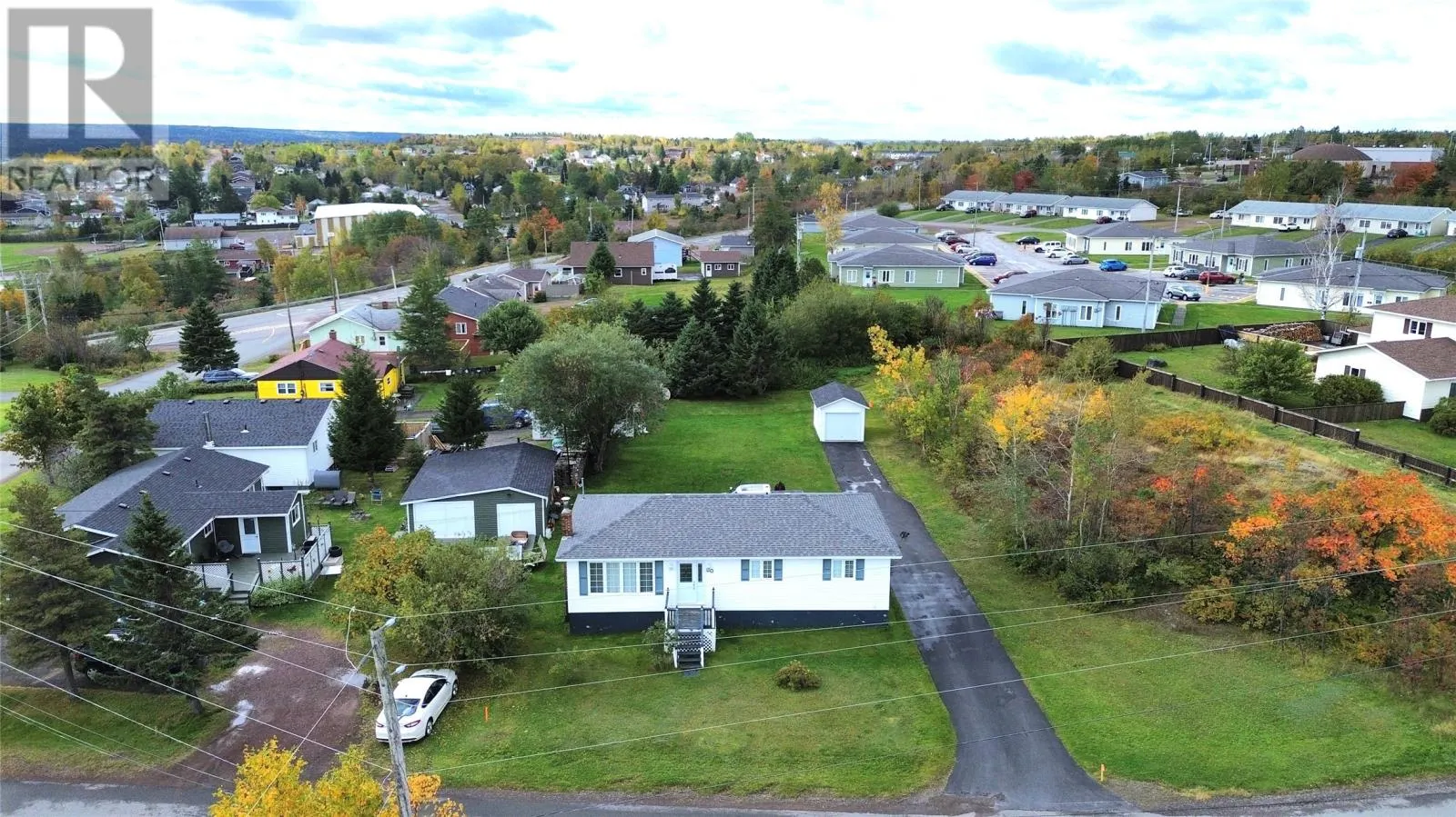 50 Caledonia Road