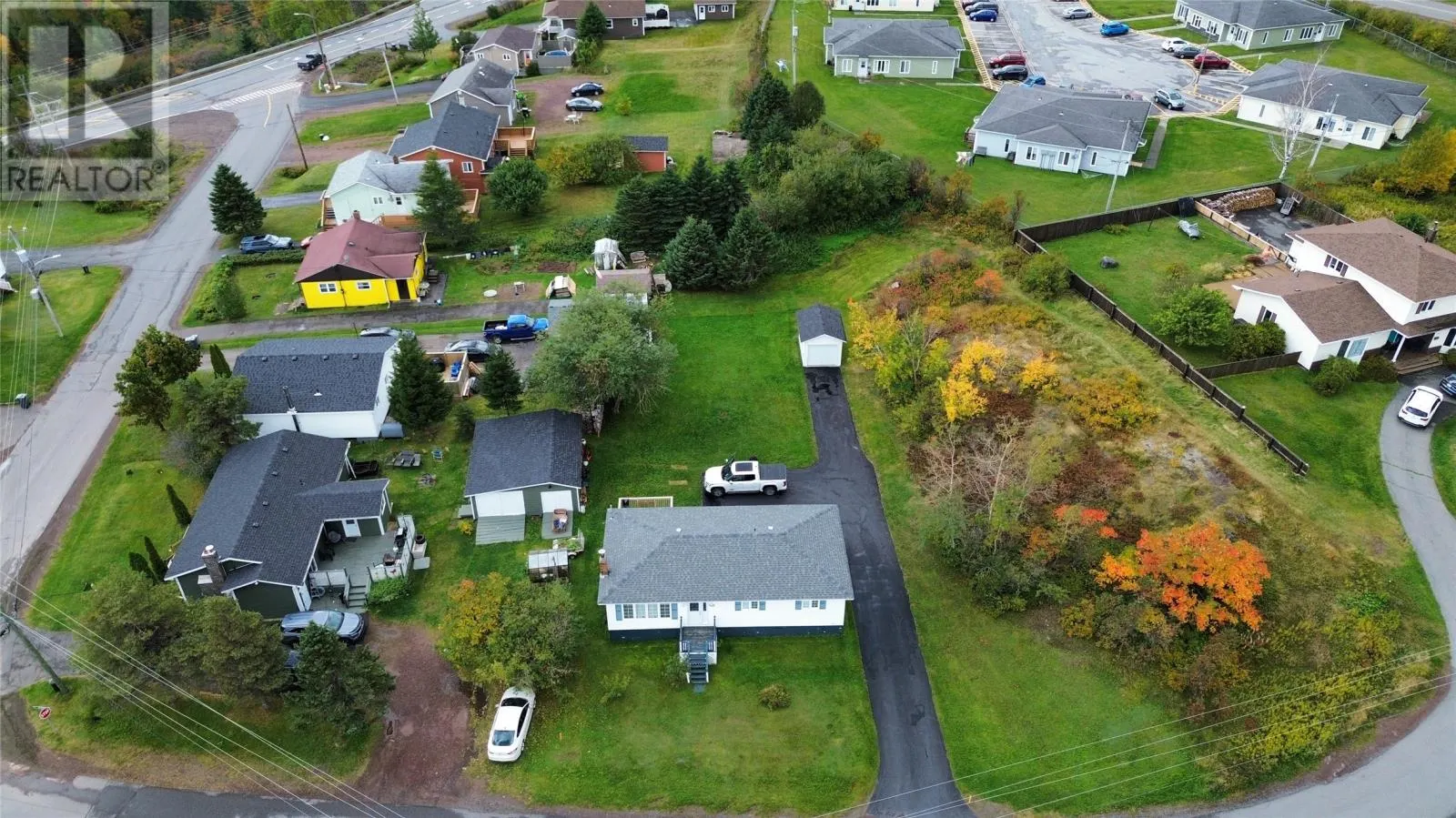 50 Caledonia Road