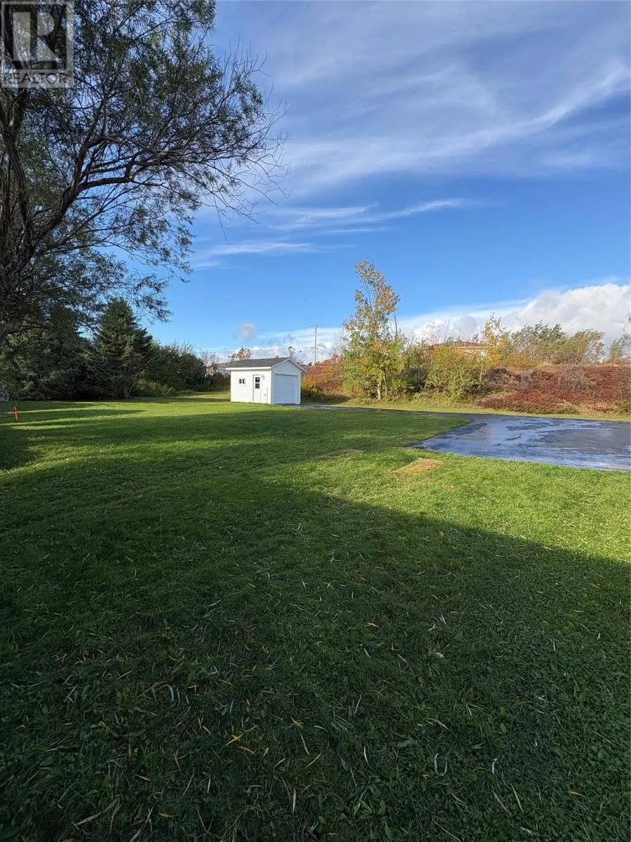 50 Caledonia Road