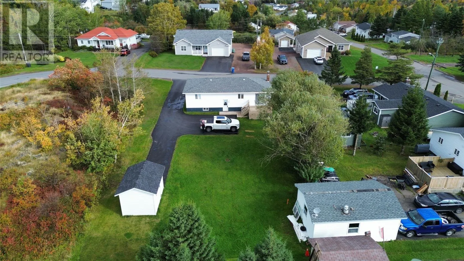 50 Caledonia Road
