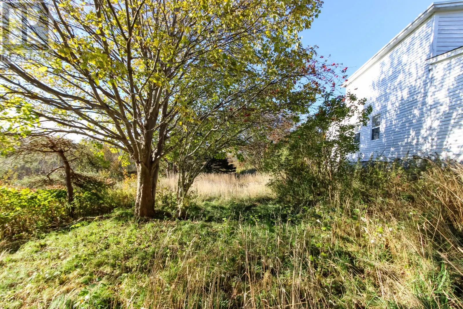 1454 Torbay Road