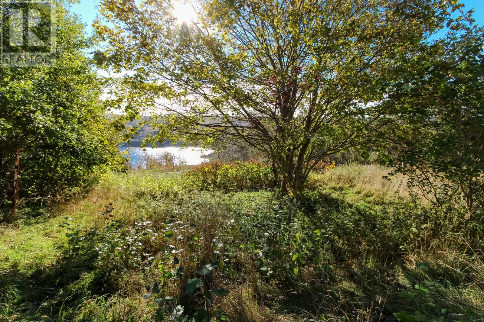 1454 Torbay Road