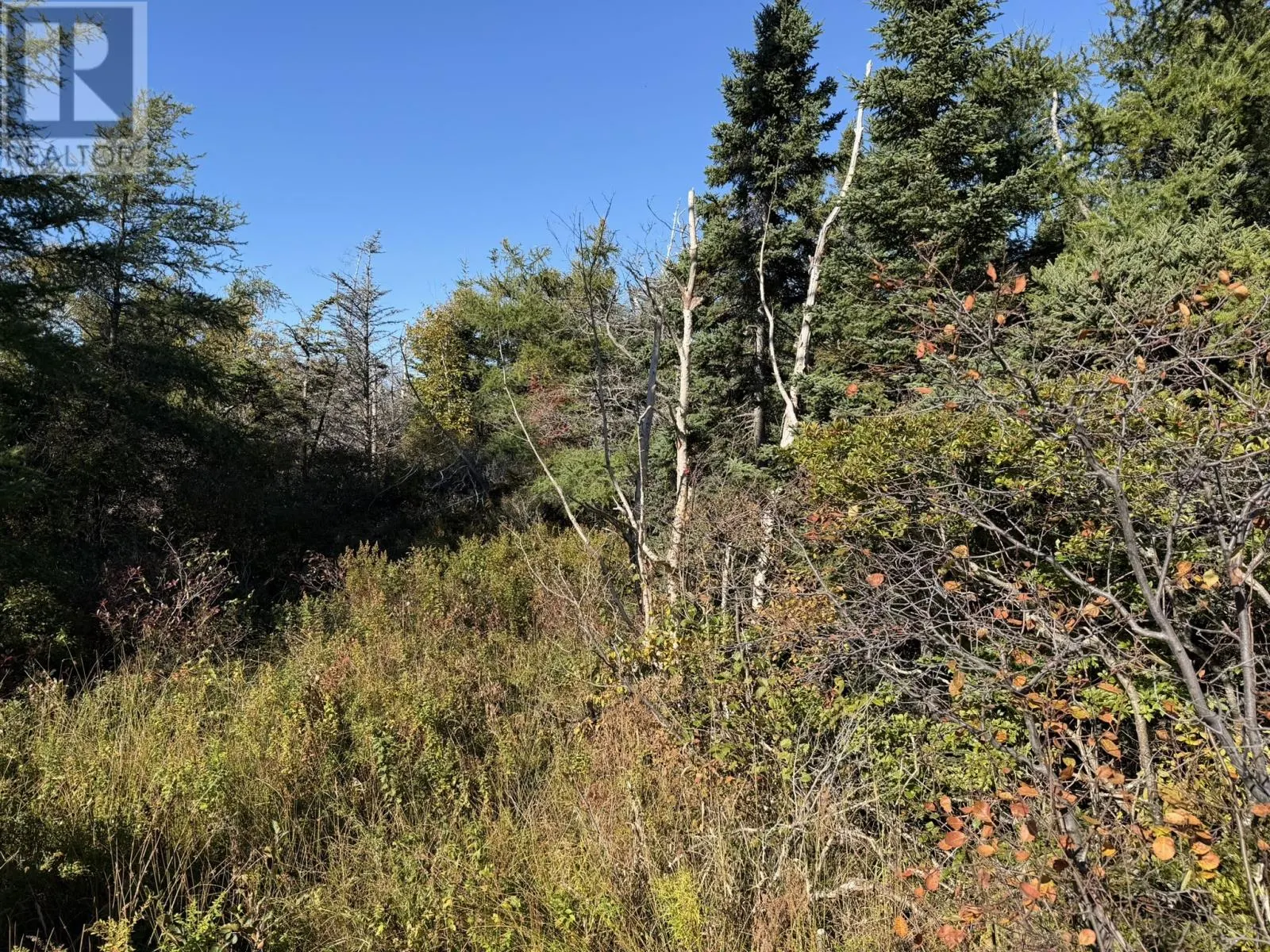 1812-1818 Conception Bay Highway