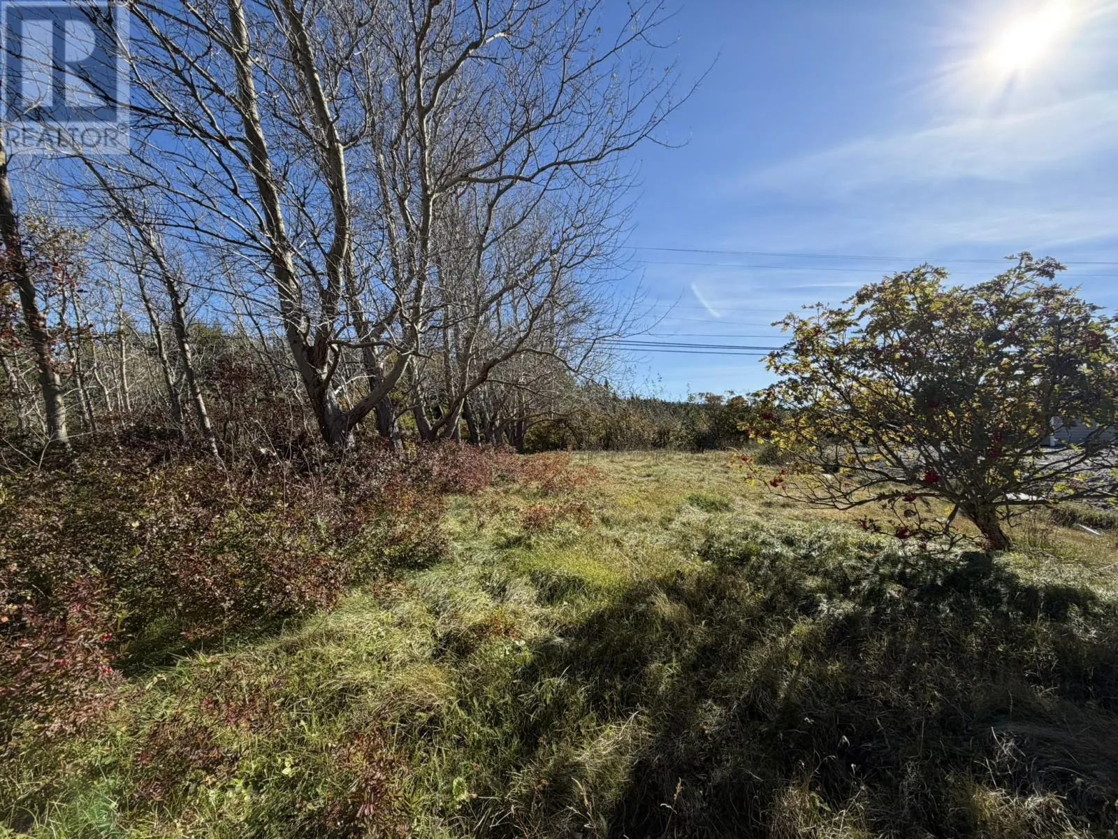 1812-1818 Conception Bay Highway