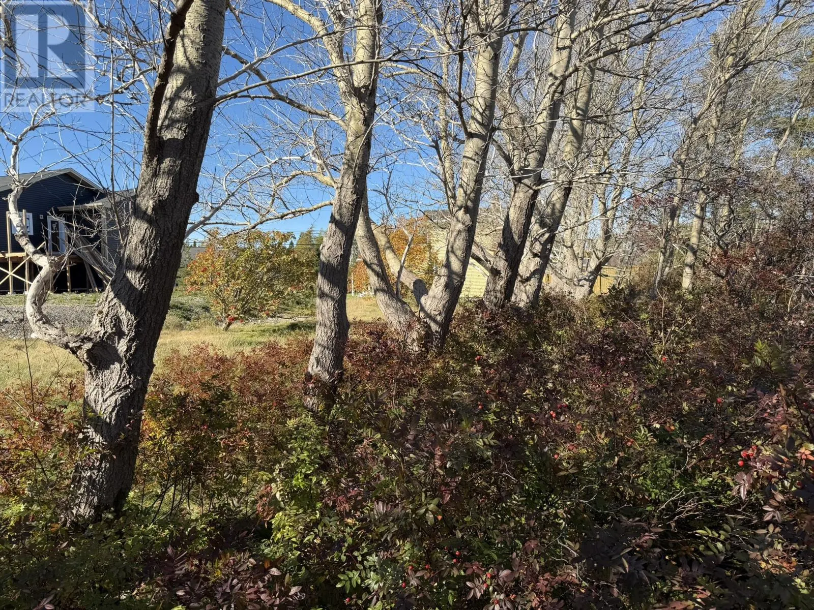 1812-1818 Conception Bay Highway
