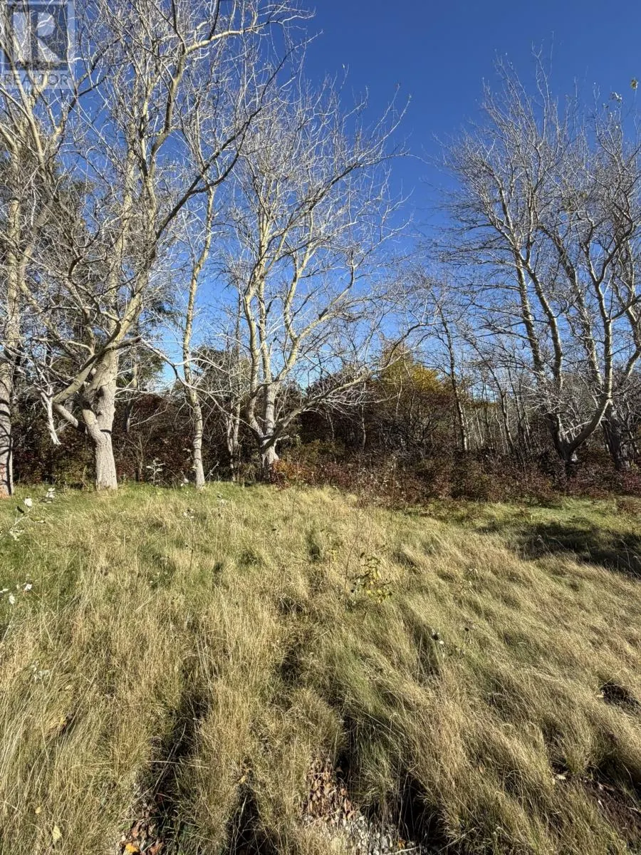1812-1818 Conception Bay Highway