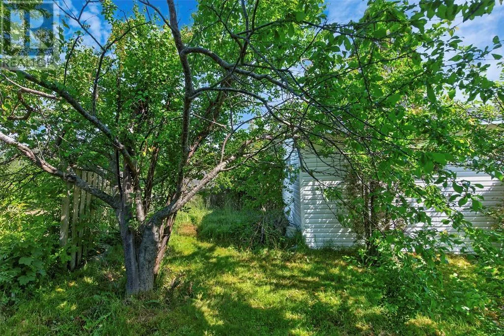 7 Leslie Street