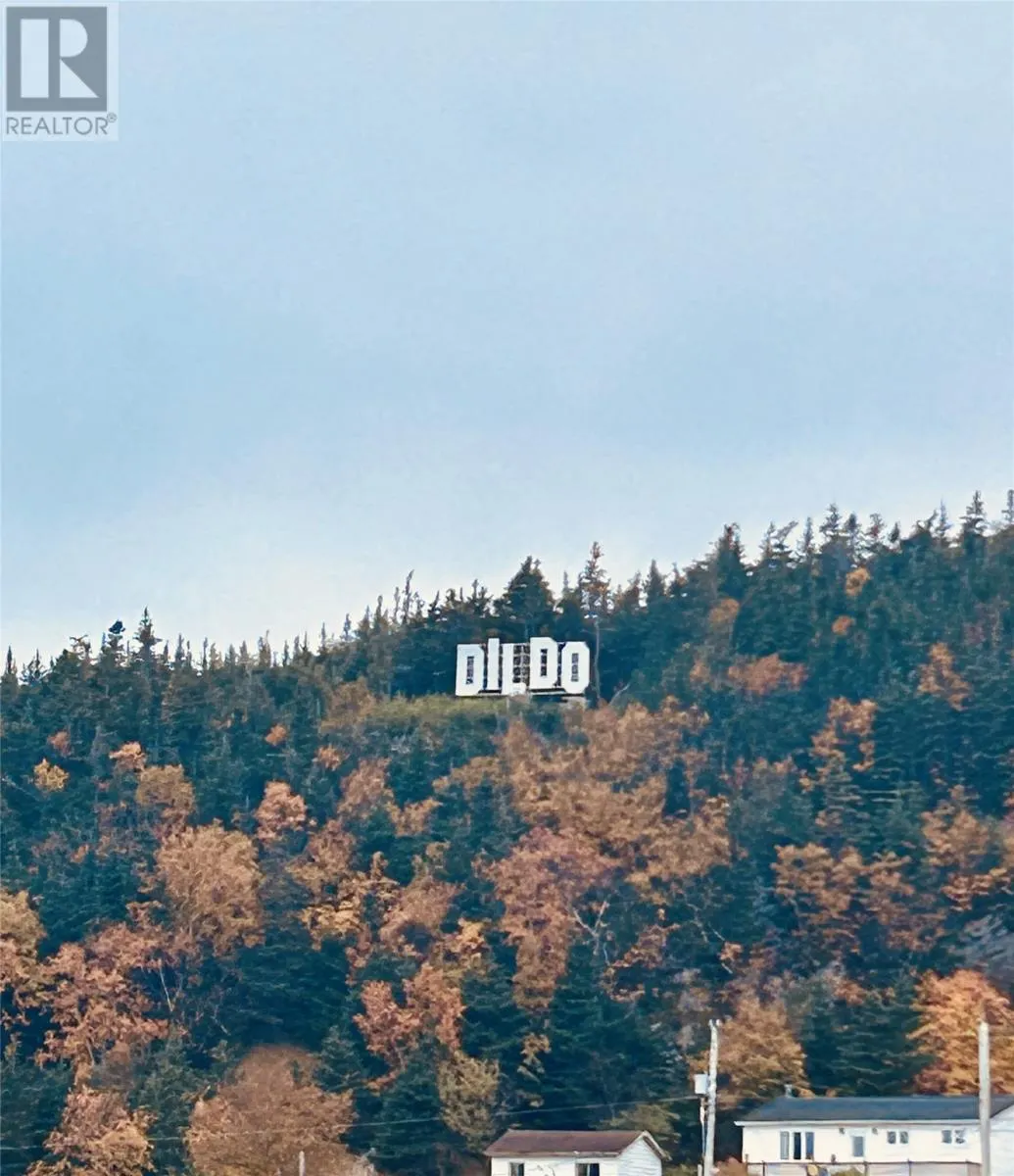 5 Hill Road