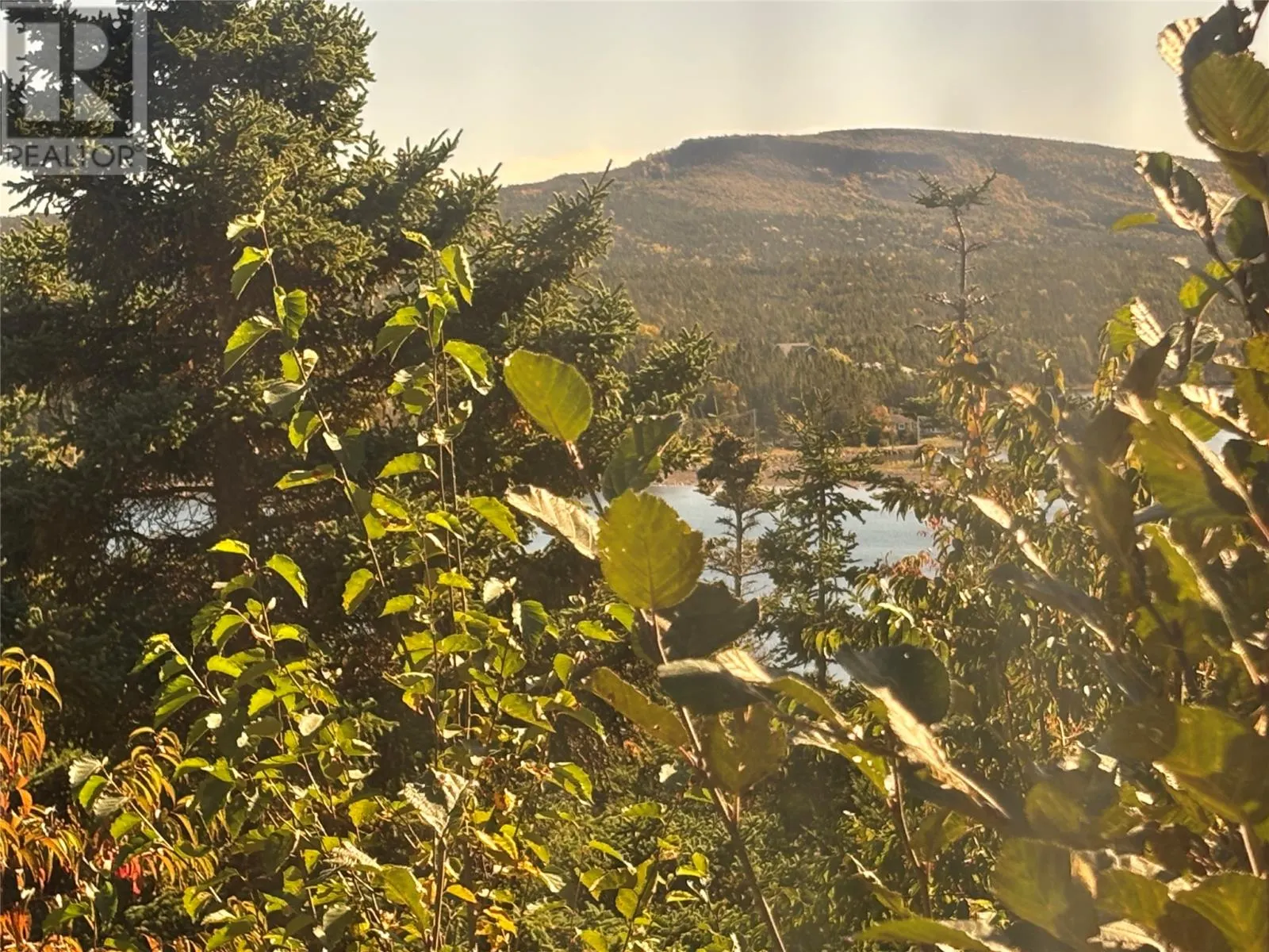 Lot 0 Pikes Road