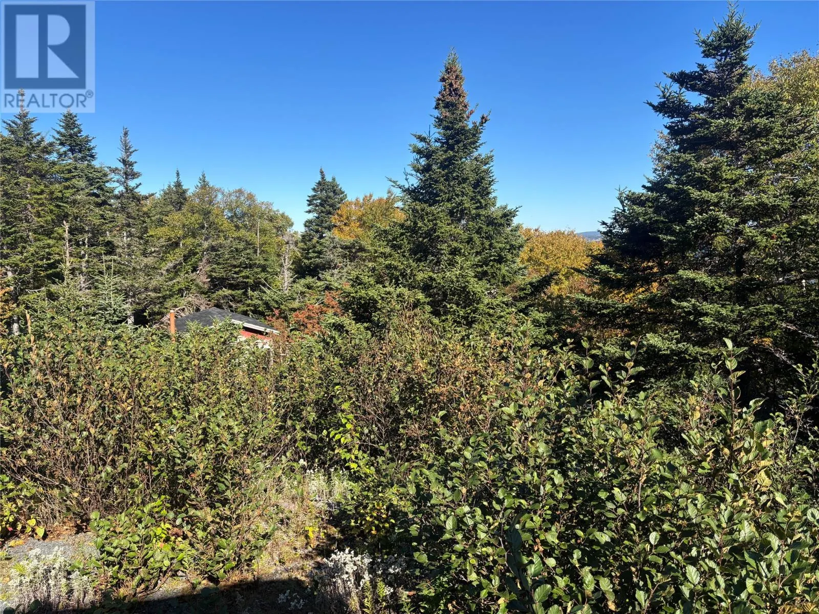 Lot 0 Pikes Road