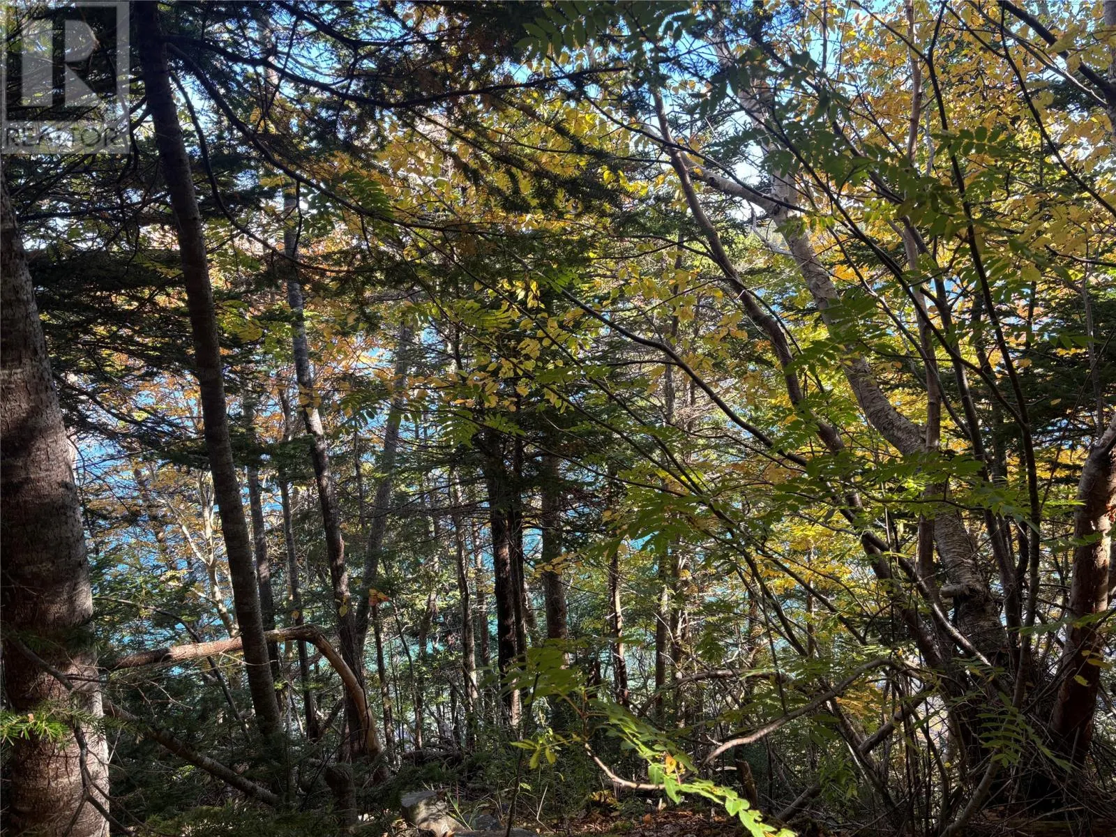 Lot 0 Pikes Road