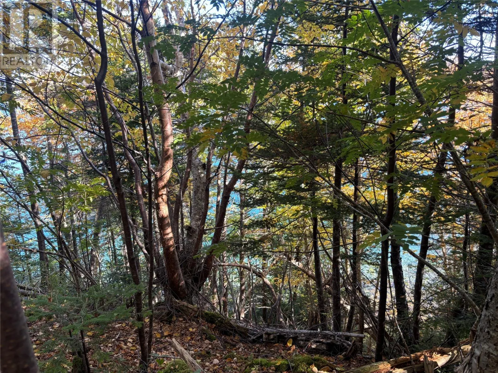 Lot 0 Pikes Road