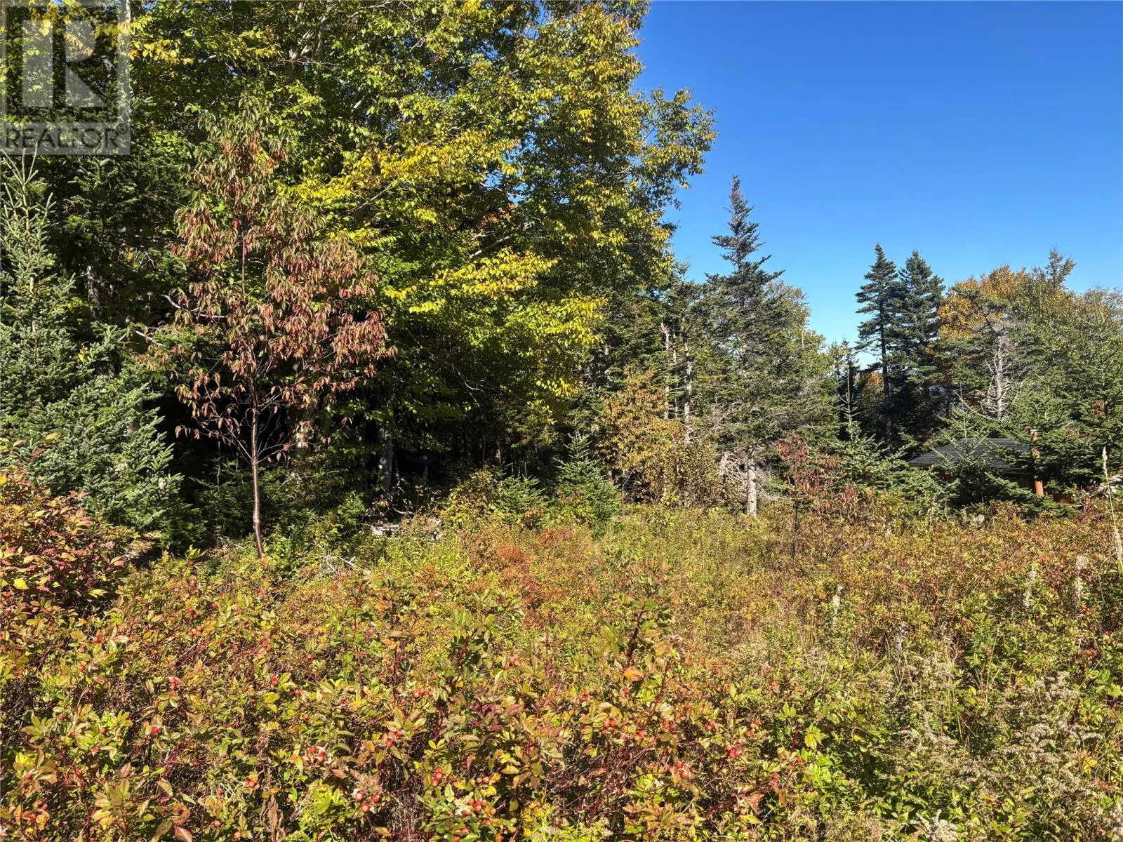 Lot 0 Pikes Road