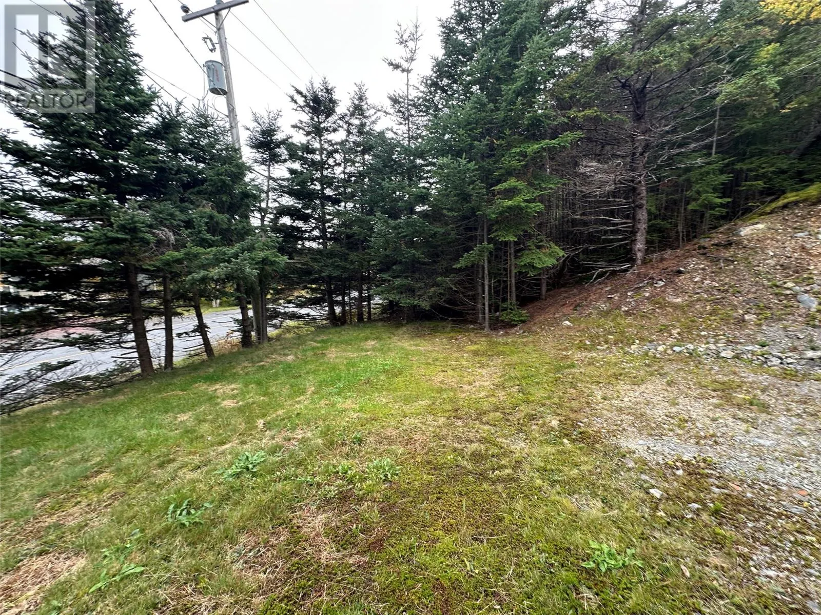 77 Conception Bay Highway