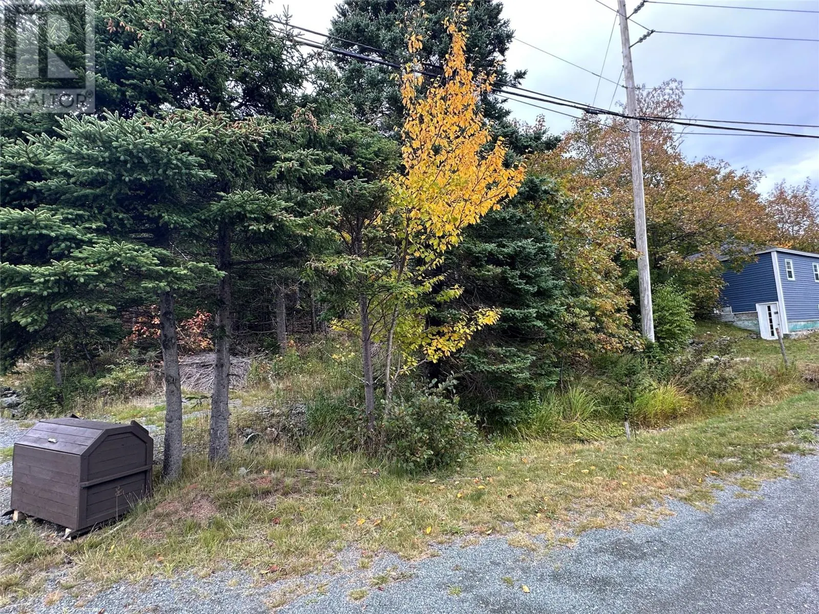77 Conception Bay Highway