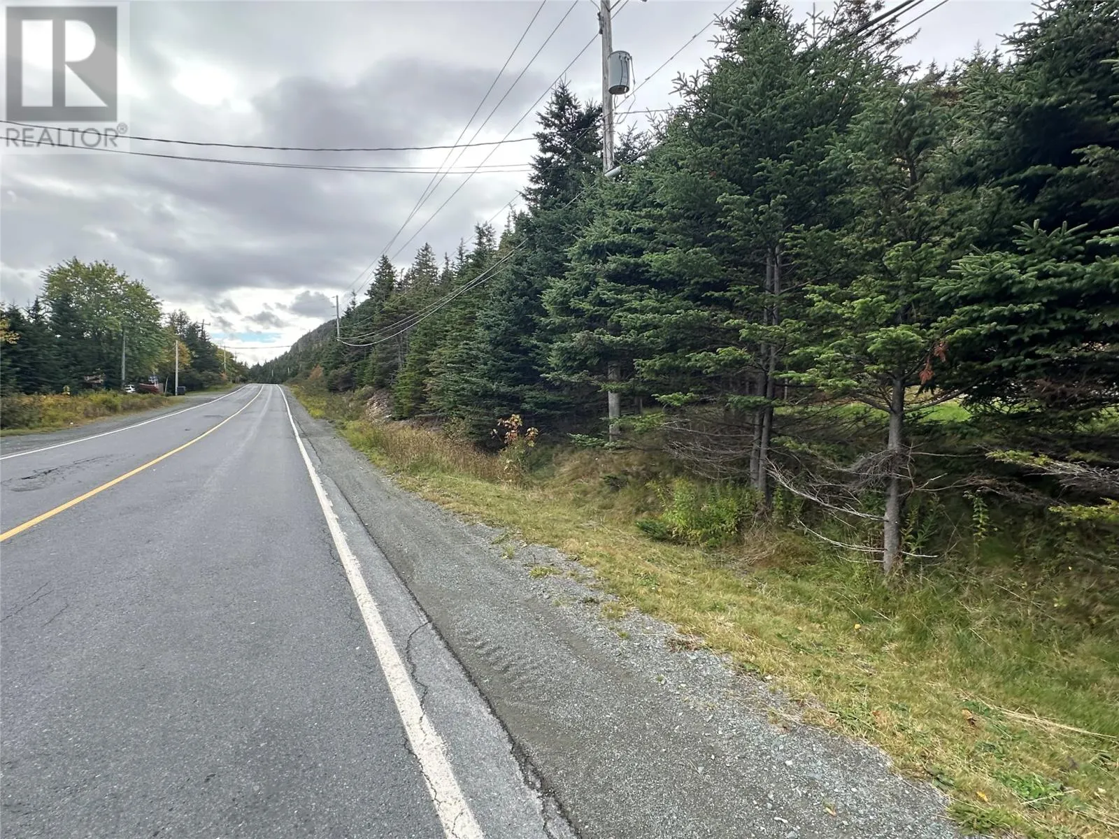 77 Conception Bay Highway