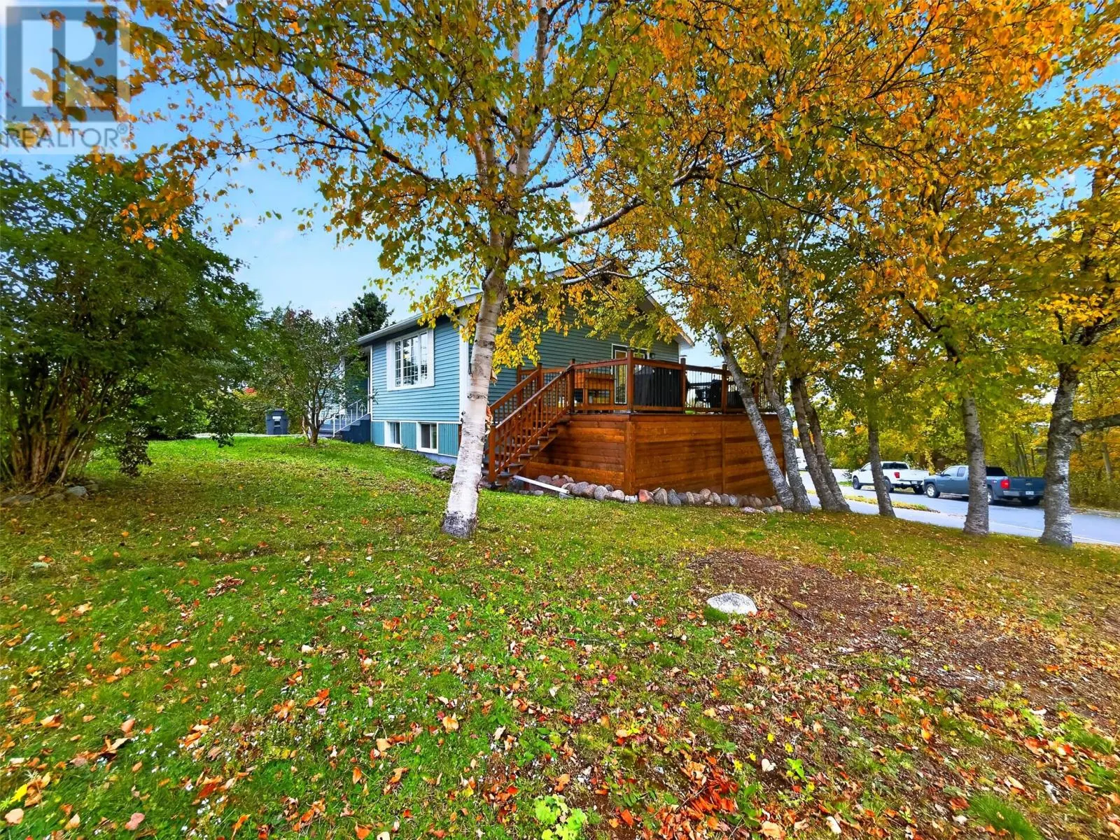77 Cormack Drive