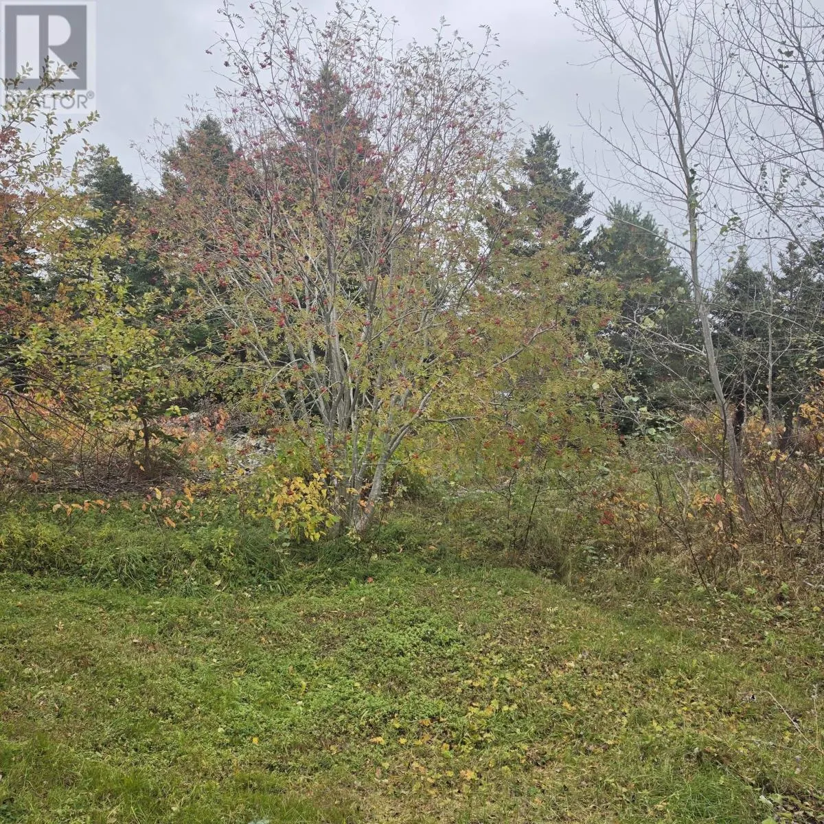32A Oceanview Heights