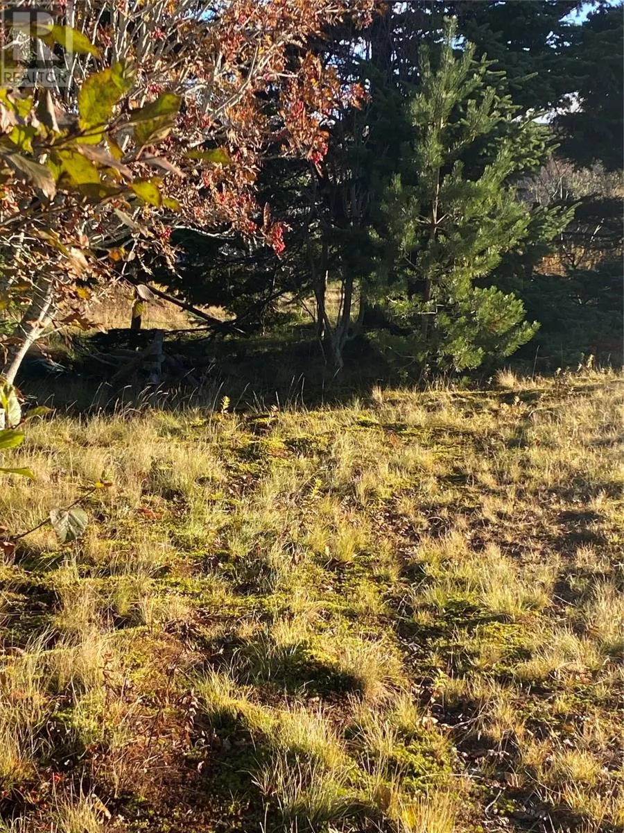 27 OLD BAY BULLS Road