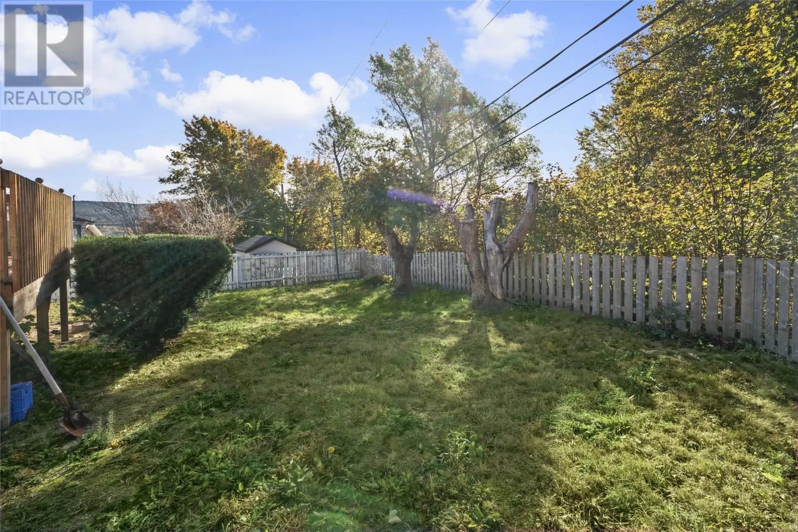 84 Cowan Avenue