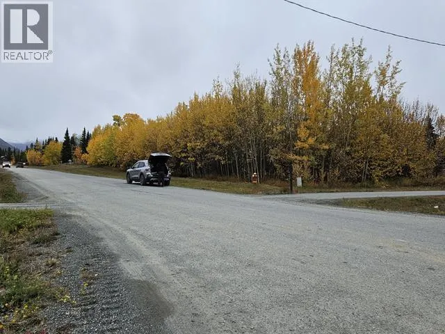263 ALASKA HIGHWAY
