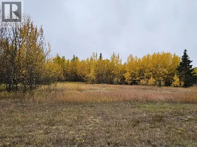263 ALASKA HIGHWAY