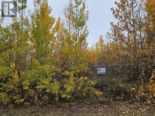107 & 109 FIREWEED STREET