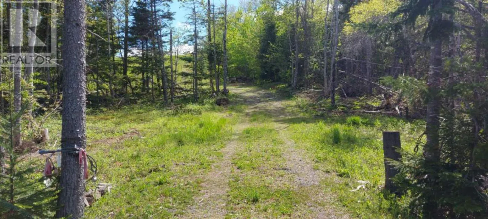 LOT 3A 9384 Highway 4