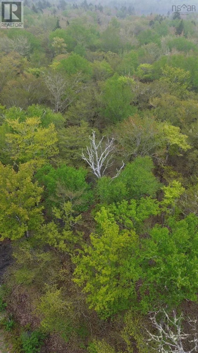Lot 46 Turner Point Drive