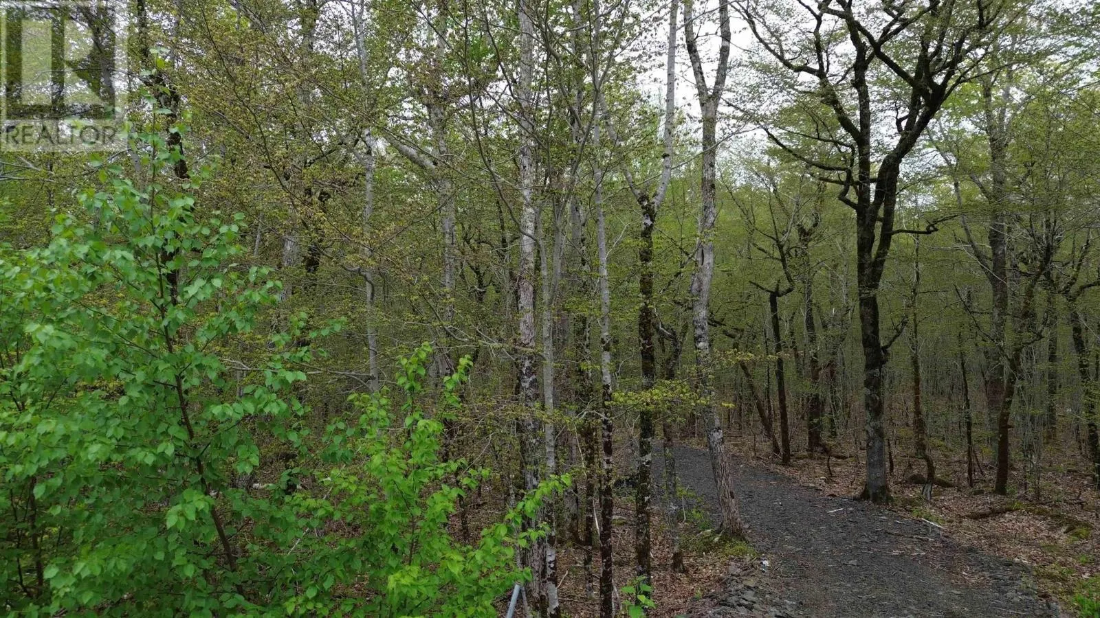 Lot 46 Turner Point Drive