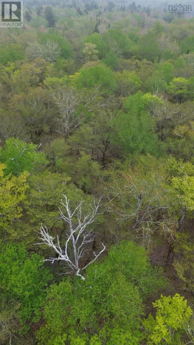 Lot 46 Turner Point Drive
