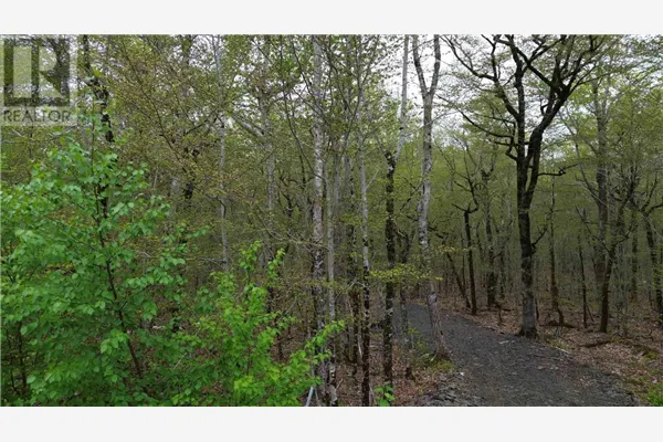 Lot 46 Turner Point Road