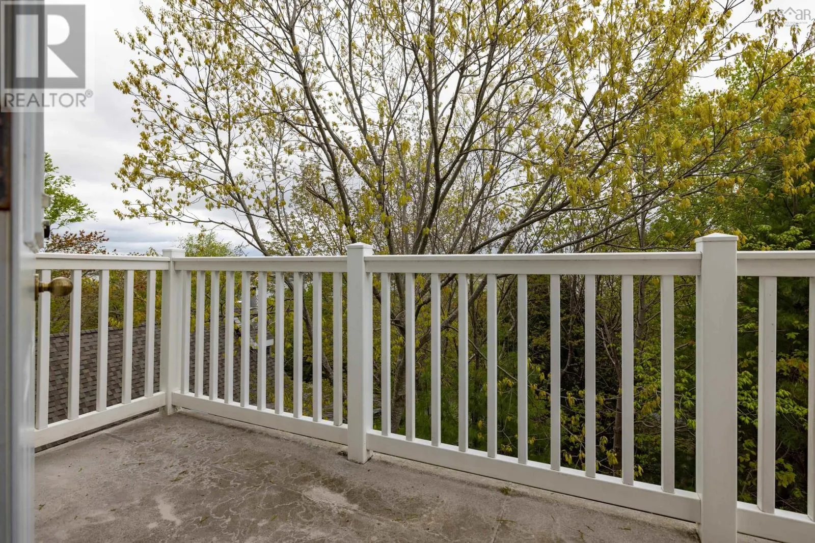 11 Millview Avenue