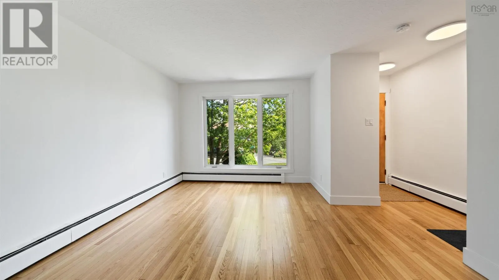 8/8A David Street